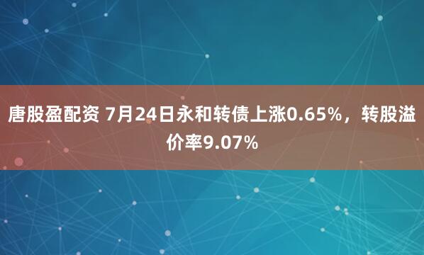 唐股盈配资 7月24日永和转债上涨0.65%，转股溢价率9.07%